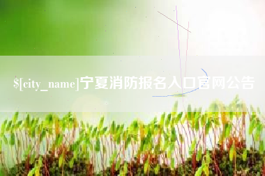 齐齐哈尔宁夏消防报名入口官网公告