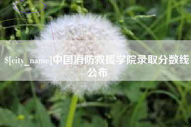 齐齐哈尔中国消防救援学院录取分数线公布