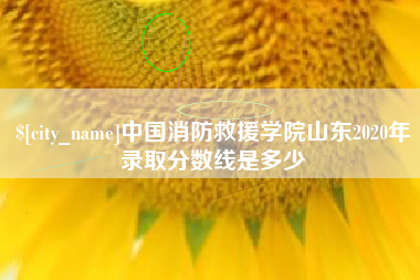 齐齐哈尔中国消防救援学院山东2020年录取分数线是多少