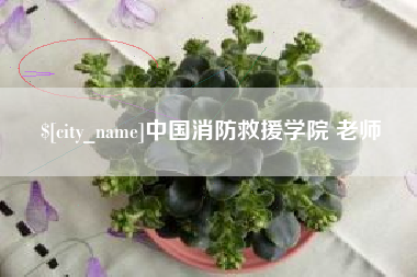 齐齐哈尔中国消防救援学院 老师