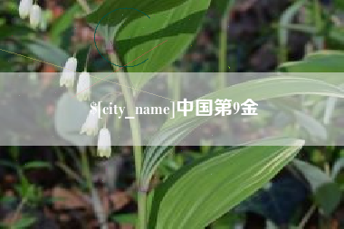 齐齐哈尔中国第9金