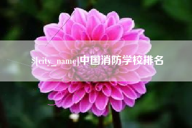 齐齐哈尔中国消防学校排名