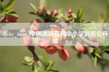 齐齐哈尔中国消防官网中小学消防公开课