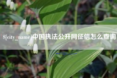 齐齐哈尔中国执法公开网征信怎么查询