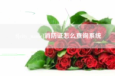 齐齐哈尔消防证怎么查询系统