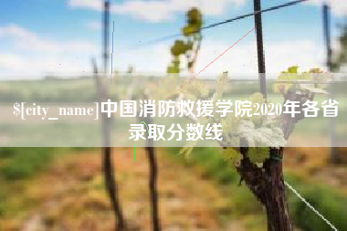 齐齐哈尔中国消防救援学院2020年各省录取分数线