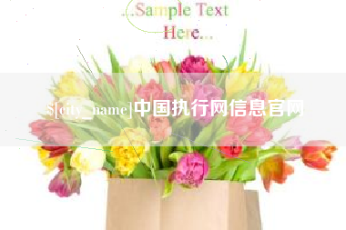 齐齐哈尔中国执行网信息官网