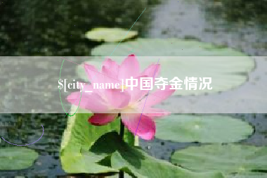齐齐哈尔中国夺金情况