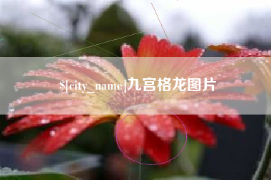 齐齐哈尔九宫格龙图片