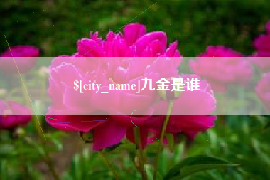齐齐哈尔九金是谁