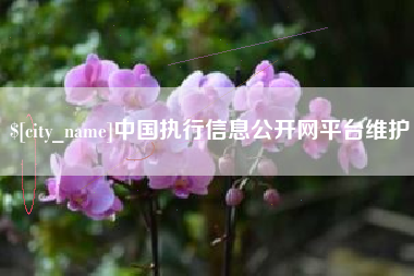 齐齐哈尔中国执行信息公开网平台维护