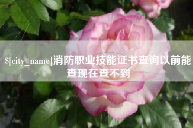 齐齐哈尔消防职业技能证书查询以前能查现在查不到