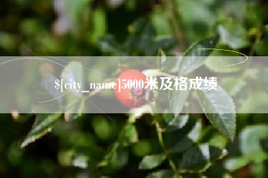 齐齐哈尔5000米及格成绩