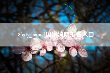 齐齐哈尔国家消防报名入口