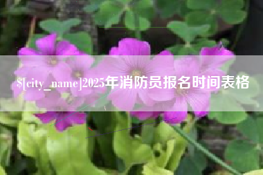 齐齐哈尔2025年消防员报名时间表格