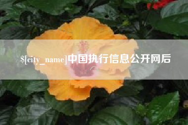 齐齐哈尔中国执行信息公开网后