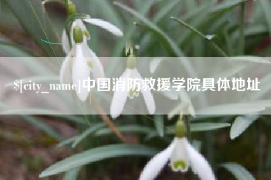 齐齐哈尔中国消防救援学院具体地址