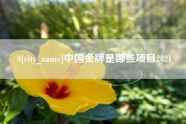 齐齐哈尔中国金牌是哪些项目2021