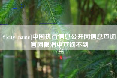 齐齐哈尔中国执行信息公开网信息查询官网限消中查询不到