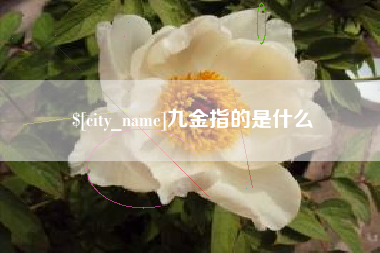 齐齐哈尔九金指的是什么