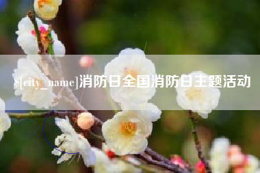 齐齐哈尔消防日全国消防日主题活动