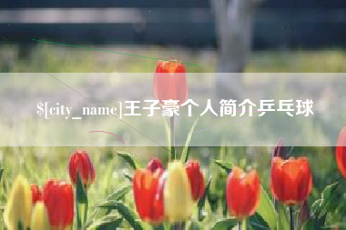 齐齐哈尔王子豪个人简介乒乓球