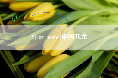 齐齐哈尔中国九金