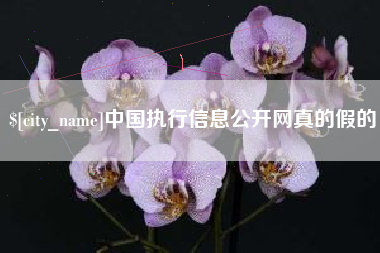 齐齐哈尔中国执行信息公开网真的假的