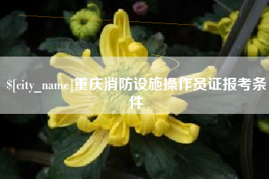齐齐哈尔重庆消防设施操作员证报考条件