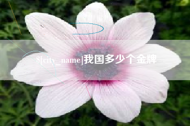 齐齐哈尔我国多少个金牌