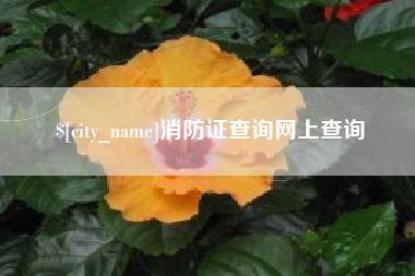 齐齐哈尔消防证查询网上查询