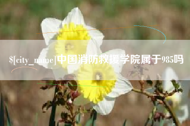 齐齐哈尔中国消防救援学院属于985吗