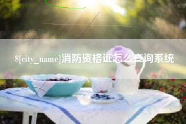齐齐哈尔消防资格证怎么查询系统
