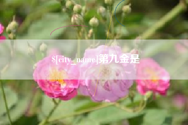 齐齐哈尔第九金是