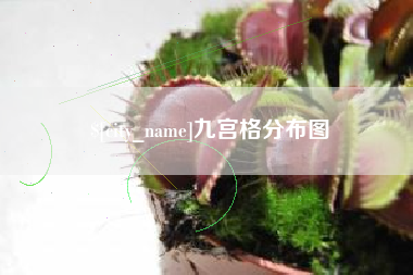 齐齐哈尔九宫格分布图
