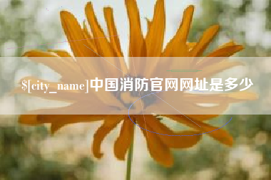 齐齐哈尔中国消防官网网址是多少