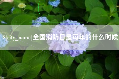 齐齐哈尔全国消防日是每年的什么时候