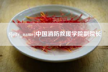 齐齐哈尔中国消防救援学院副院长