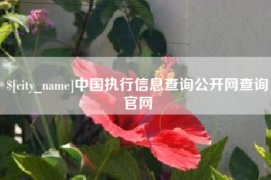 齐齐哈尔中国执行信息查询公开网查询官网
