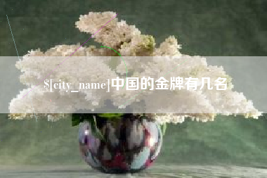 齐齐哈尔中国的金牌有几名