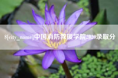 齐齐哈尔中国消防救援学院2020录取分