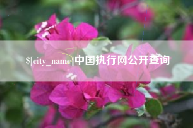 齐齐哈尔中国执行网公开查询