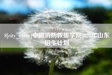齐齐哈尔中国消防救援学院2021年山东招生计划