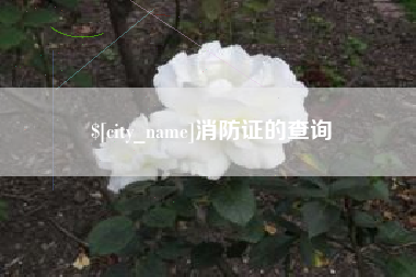 齐齐哈尔消防证的查询