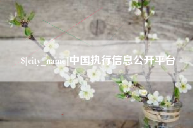 齐齐哈尔中国执行信息公开平台