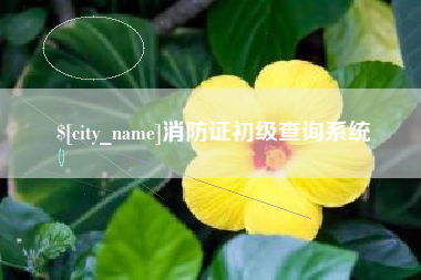 齐齐哈尔消防证初级查询系统