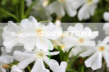 齐齐哈尔中国金牌得了几枚金牌