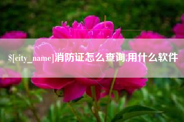 齐齐哈尔消防证怎么查询,用什么软件