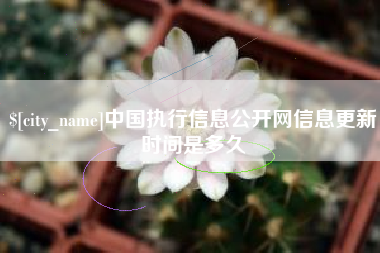 齐齐哈尔中国执行信息公开网信息更新时间是多久