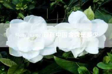 齐齐哈尔现在中国金牌是多少